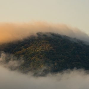 编辑陈知远正在校对页面排版，双屏左侧是政策原文右侧是解读草稿，桌面角落放着翻旧了的税率表打印件